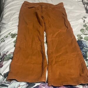 Michael Kors Burnt Orange Pants